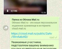 Screenshot_20201223_155125_com.whatsapp