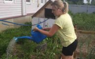 Акция «Поливаем огород»