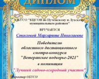 ДИПЛОМ победителю Соколова МН