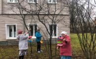 Новости ОВП