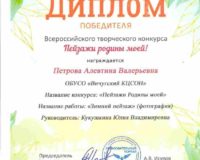 Диплом Петрова