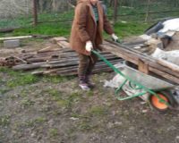 IMG-20220504-WA0004