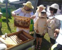 IMG_20220812_105505