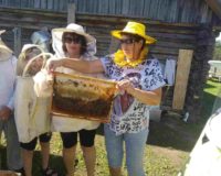 IMG_20220812_105609