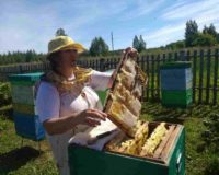 IMG_20220812_110513