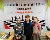 шахматы_2