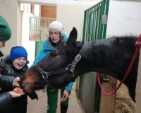 к лошадкам_5