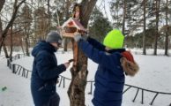Акция "Покормите птиц"