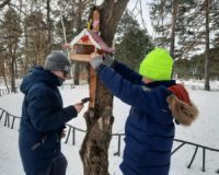 покормите птиц_3