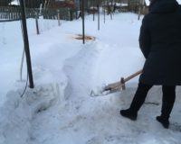 снежный десант на дому_1