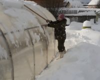 снежный десант на дому_17