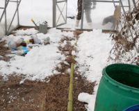снежный десант на дому_21