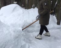 снежный десант на дому_25