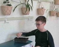 цветы победы_6