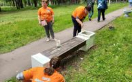 Инклюзивный волонтерский отряд «Бумеранг» принял участие в субботнике