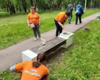 инклюзивный субботник_1
