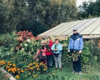 золотая осень_8