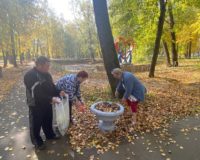 новости овп_1