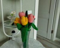 IMG-20230920-WA0001