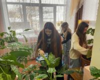 новости овп_2