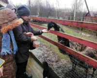 парко добрый_3