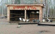 Экскурсия в Парк "Добрый"
