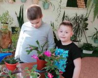 мир комнатных растений_1