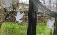 Социальные работники присоединились к всероссийской акции «Окна Победы»