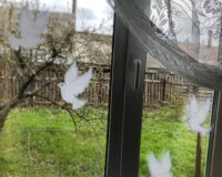 окна победы_4