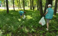 Акция "С праздником любимый город"