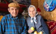 «Медовое яблочко»