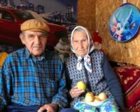 медовое яблоко_8