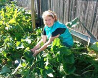 уборка урожая_10