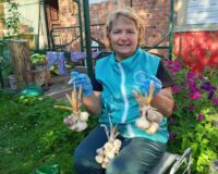 уборка урожая_5