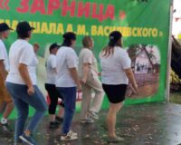 зарница на рубеже василевского_12