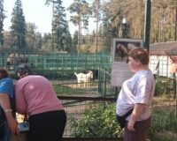 экскурсия в город кострома_5