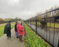новости овп_13