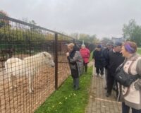 новости овп_14