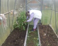 услуга в подарок_2
