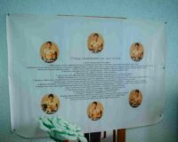 областной слёт инклюзивных волонтёров_18