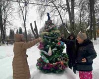 новости овп_6