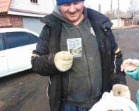 акция белая ромашка_4