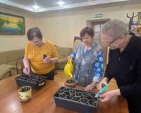 новости овп_4