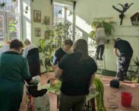 уборка в зимнем саду_2