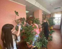новости овп_4