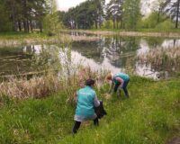 плогинг у воды_3