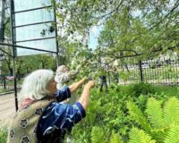 новости овп_05