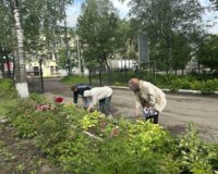 новости овп_3