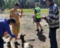 парк добрый_3