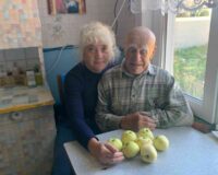 медовое яблочко_8